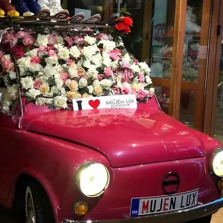 B 8 - Lapcevic U Zgradi Mujen Lux,