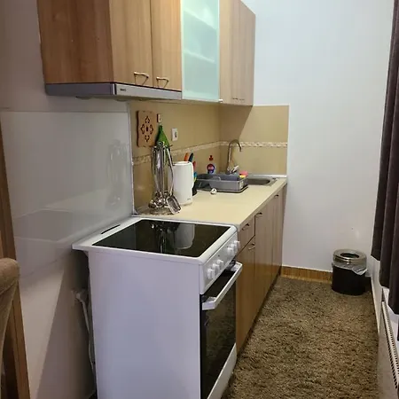 B 8 - Lapcevic U Zgradi Mujen Lux, アパート *