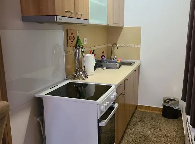 B 8 - Lapcevic U Zgradi Mujen Lux, דירה *